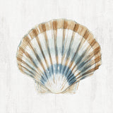 seashell - 1
