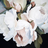 White Fern Echoing Rhymes – 1