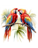 Colorful Parrot Rainforest -1