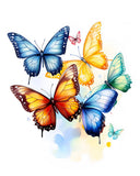 Colorful Butterfly Trace-1